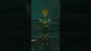 YOU ARE NOT ZELDA!? Do You Also Hate When This Happens? Legend of Zelda, tears of the kingdom #short