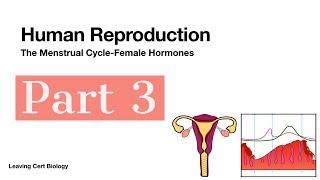 Human Reproduction Part 3-Menstrual Cycle-Leaving Cert Biology