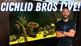 [LIVE] Cichlid Bros Fish Room Updates!