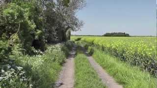 Time Out Country Walks, Book 1, Walk 26, Great Shelford to Cambridge. 26/5/12.