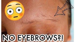 WHY ARE MY EYEBROWS FALLING OUT? | Eyebrow Update