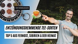 Entzündungshemmende Tee-Sorten  die TOP 5 aus Fernost, Sibirien und unserer Heimat