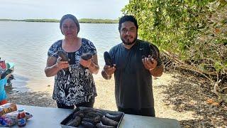 Pepino de mar, como es y como se prepara