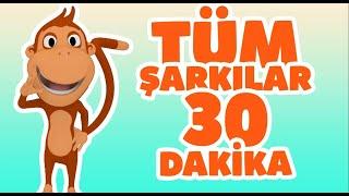 Kukuli Tüm Çocuk Şarkıları 30 Dakika - En Sevilen Kukuli Şarkıları