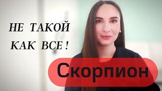 5 ОСОБЕННОСТЕЙ СКОРПИОНА И В ЧЕМ ПРОБЛЕМАТИКА ЗНАКА?