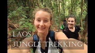 Laos Jungle Adventure: Trekking in Luang Namtha | Fun With Chun