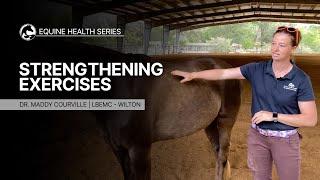 Are You Doing These 3 Easy Strengthening Exercises With Your Horse?