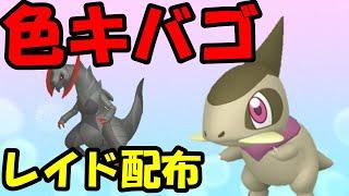 【ポケモンSV】色違いキバゴレイド！誰でも参加OK！ Pokemon Scarlet Violet Live Stream【参加型】