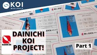 DAINICHI KOI PROJECT! Part 1