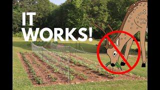 Could this CHEAP Deer Fence REALLY WORK?