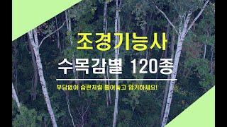 수목감별 120종