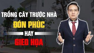 Trồng cây trước nhà là Phúc hay Họa? Những điều cần biết khi trồng cây trước nhà