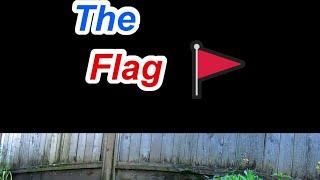 Capture the Flag (CTF) Explained In Under a Minute - Cybersecurity Basics #cute #cybersecurity #ctf
