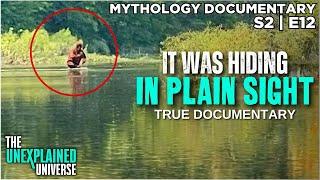 New Zealands Bigfoot Caught On Camera | Moehau | Mythology Documentary | Boogeymen | S2E12