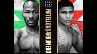 Daniel Matellon vs Jose Argumedo Quick Prediction (Interim WBA Light Flyweight Championship)