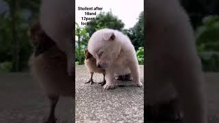 #SHORTS STUDENT REACTION CHALLENGE/NICE VIDEO/WHATSAPP STATUS ITSMESHI 