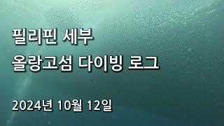 2024년 10월 12일 필리핀 세부 올랑고섬 다이빙 로그