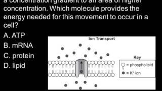 SAT Question of the Day 1-10-13