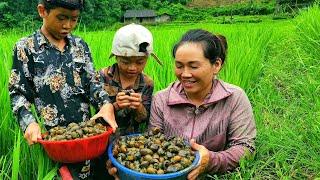 catching snails, going to the market to sell, cooking, the life of a single mother DANG THI DU