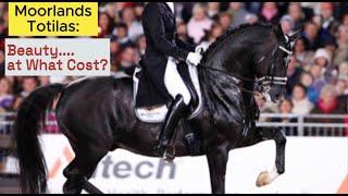 Totilas Was Too Good to Survive—And the Sport Let Him Down