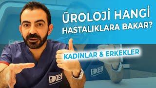 Üroloji Kadında Ve Erkekte Hangi Hastalıklara Bakar?