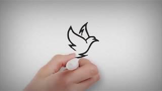 Whiteboard Logo Animation Service