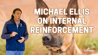 Michael Ellis on Internal Reinforcement