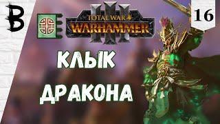 Total War: Warhammer 3 Юань Бо, Нефритовый Двор #16 "Клык дракона"