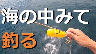 Fishing with an underwater camera on a Japanese embankment.