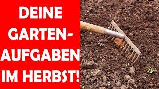 Gartenaufgaben für den Herbst, was zu beachten ist. Gärtnern für Anfänger und Fortgeschrittene