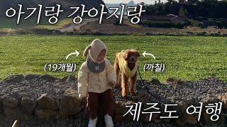 여행 시간 3배 늘리는 법아기+강아지랑 같이 가기^^ㅋ｜제주도 여행(상)