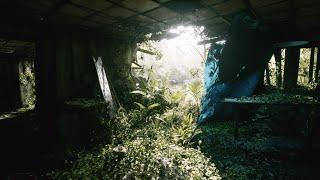 The Last of Us 3 - Unreal Engine 5 | Lumen - Ray Tracing (Game concept)