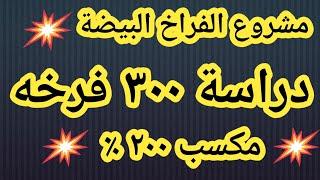 #مشروع الدواجن ٢٠٢٤.دراسة جدوى ٣٠٠ فرخة بيضة ٢٠٢٤ #فراخ #poultry