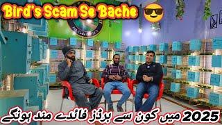 2025 Mae Kaun Se Birds Fayde Mand Honge | Birds Scam Se K Se Bache @SYED BIRDS