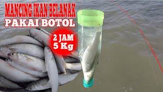 MANCING IKAN BELANAK PAKAI BOTOL 2 JAM DAPAT 5 KG