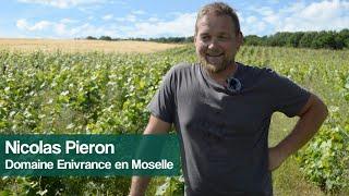 Nicolas Pieron - Vigneron en Moselle au Domaine Enivrance