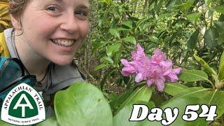 Day 54 | Riding Solo | 2024 Appalachian Trail Thru Hike