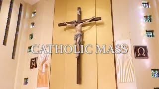 Roman Catholic Mass for November 24th, 2024: The Solemnity of Our Lord Jesus Christ