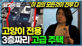 "여긴 그냥 고양이 천국이에요" 고양이를 위해 3층짜리 건물을 올린 집사의 이야기｜고양이를 부탁해｜알고e즘