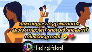 നിങ്ങളുടെ വ്യക്തി അവരുടെ തെറ്റ് മനസ്സിലാക്കി, അകൽച്ച മാറി തിരിച്ചു വരും #currentfeelings #tarot