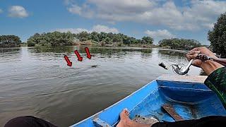 Mancing Casting Ter Gilaa..!!! Bisa Bisanya Spot Mancing Sebagus ini Tidak Ada Yang Mancing