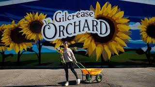 Vegas Fruit-Picking Adventure Gilcrease Orchard