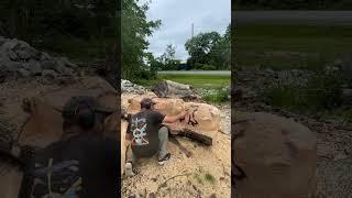 Chainsaw carving of bears to music #chainsawart #wood #carving #chainsawcarving #woodcarving #art