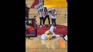 Conor McGregor KNOCKOUTS Miami Heat Mascot! Medical help needed!