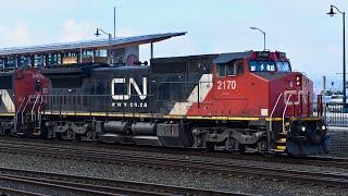 Canadian National Dash-8 Locomotives Pull A Grain Train