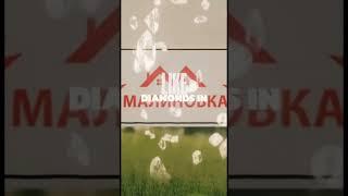 Кто подпишется, тот красавчик  #малиновка #malinovka