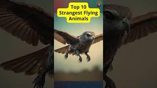 Top 10 Strangest Flying Animals - Minthy Amazing Animals