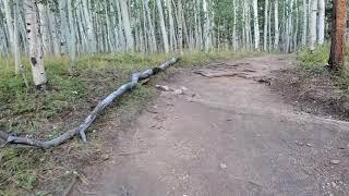 Kenosha pass Colorado trail, day hike