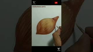 Coconut drawing#short