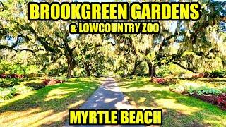 Brookgreen Gardens Tour Near Myrtle Beach, SC! Botanical Gardens, Lowcountry Zoo, Art & More!